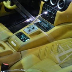 DSC 9117