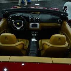 DSC 9151