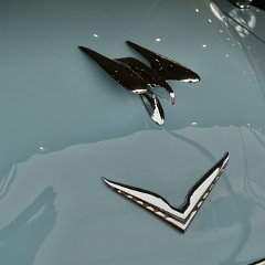 DSC 9196