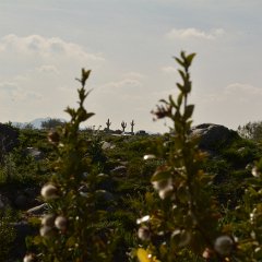 DSC 9328