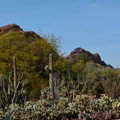 DSC 9336