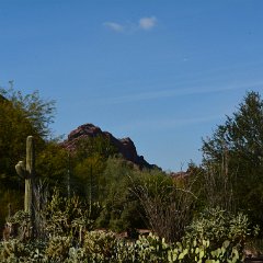 DSC 9337