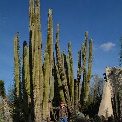 DSC 9340