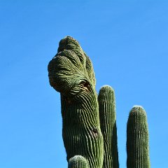 DSC 9362