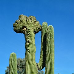 DSC 9365