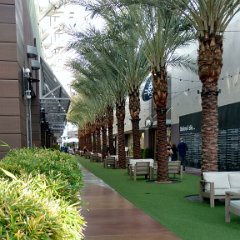 IMG 20190113 161413001 HDR