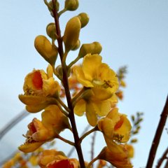 IMG 20190118 072213563 HDR