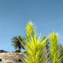 IMG 20190118 132946619 HDR