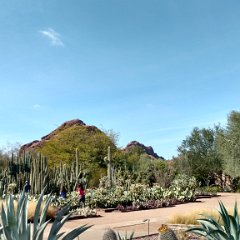 IMG 20190118 133404905 HDR