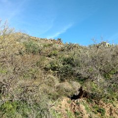 IMG 20190119 101351393 HDR
