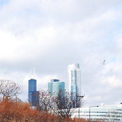 DSC_5918