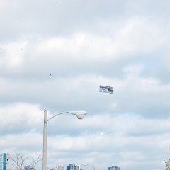 DSC_5979