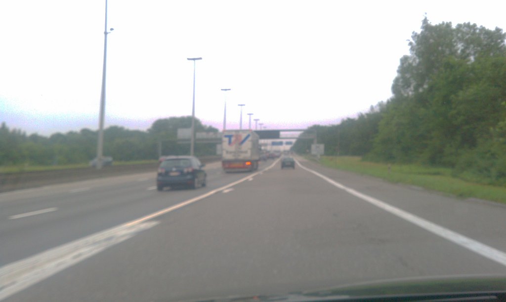 IMAG1142