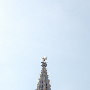 DSC_9375