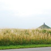 DSC_9521