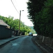 DSC_9559