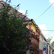DSC_9813