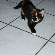 DSC_9825
