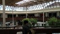 IMG_20170602_113138544