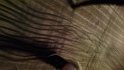 IMG_20170603_222941031