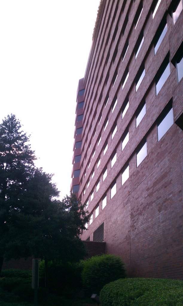 IMAG0817