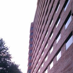IMAG0817