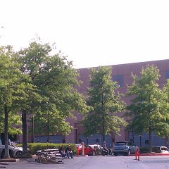 IMAG0818