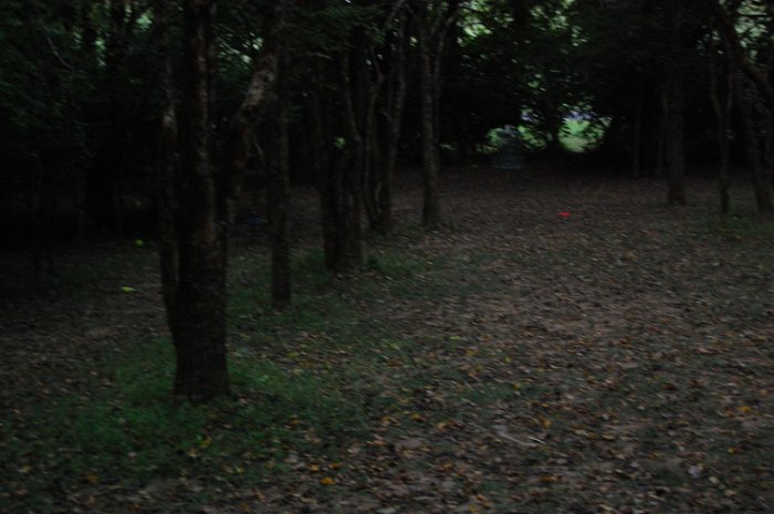 DSC_4045