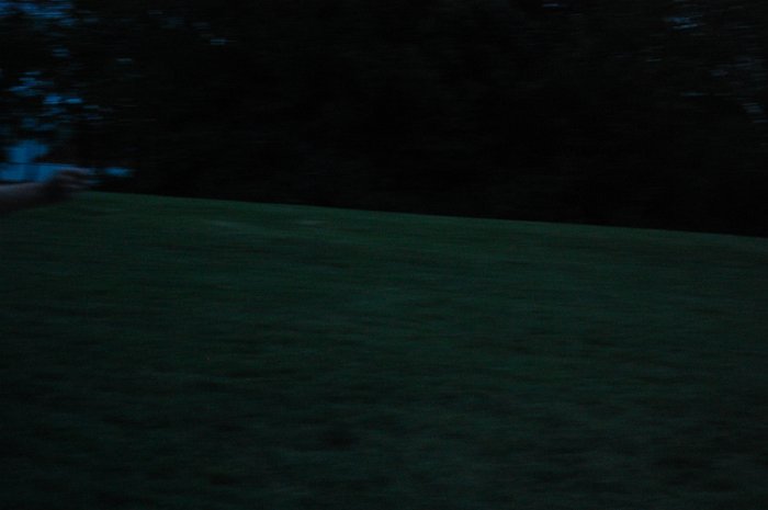 DSC_4167