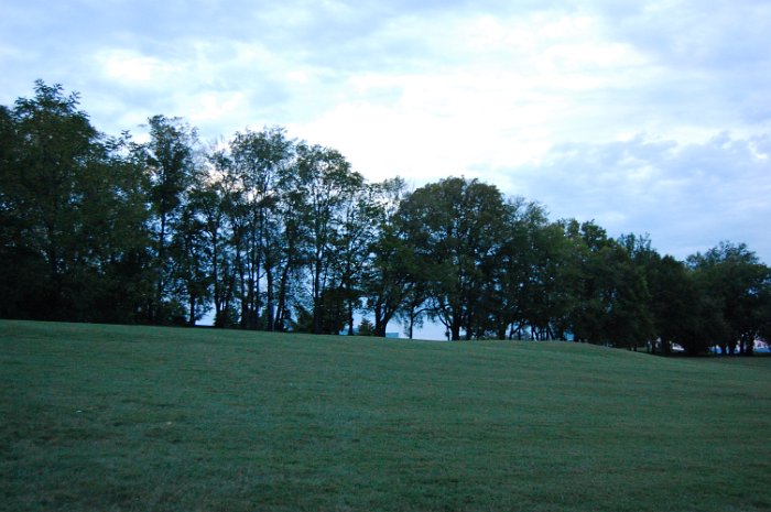 DSC_4174