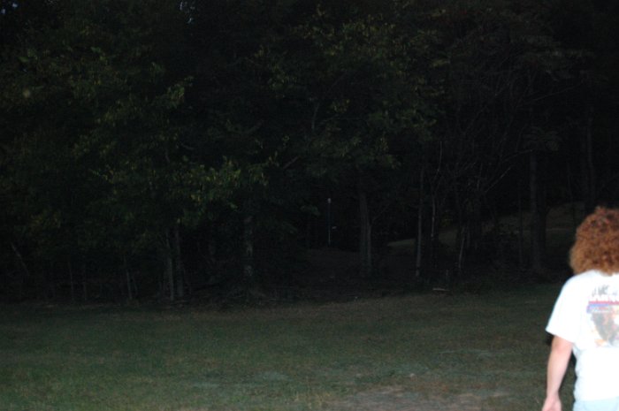 DSC_4204