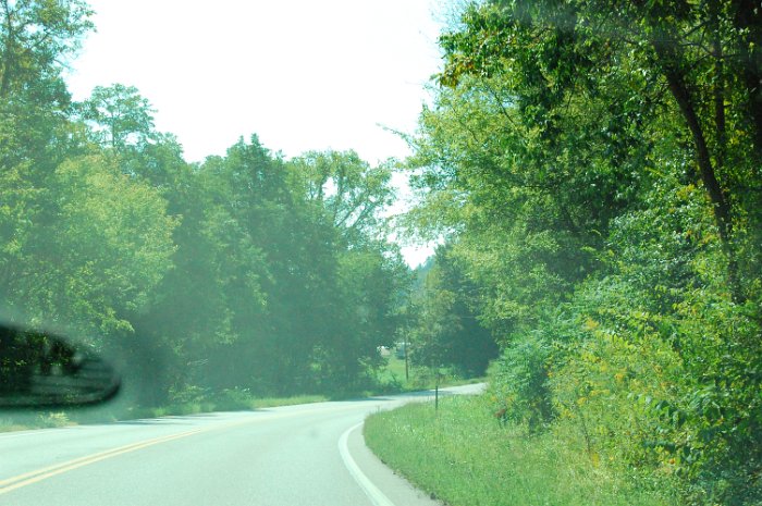 DSC_4219