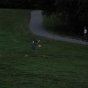 DSC_4082