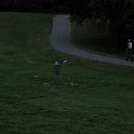 DSC_4083