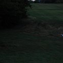 DSC_4101