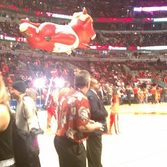 IMAG0691