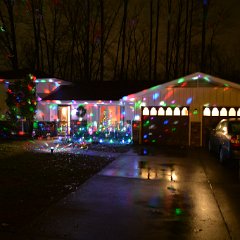 DSC 8955