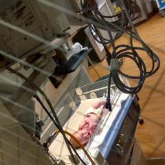 IMG 20180322 180750515 HDR