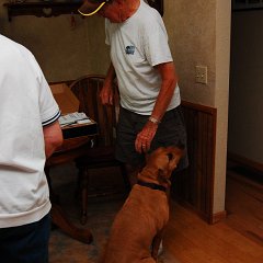 DSC_6470