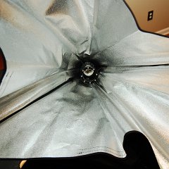 DSC_0348