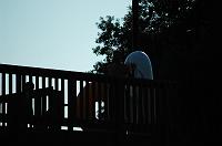  (C) Andy Moon     (309)258-3530