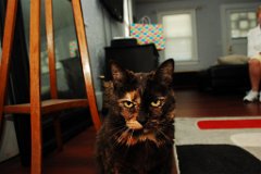 DSC_7506