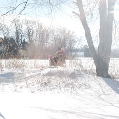 DSC_7032