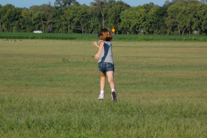 DSC_2981