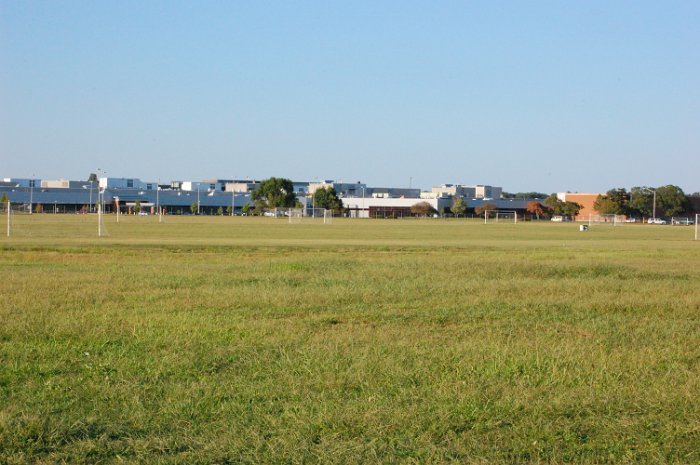DSC_3008