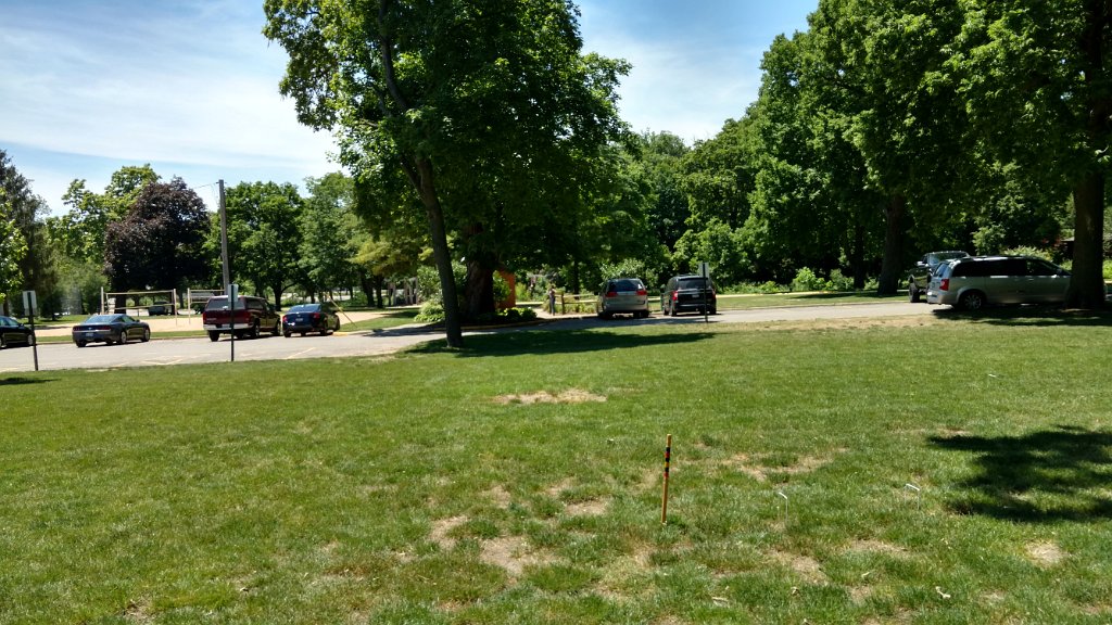 IMG_20170608_135230050_HDR