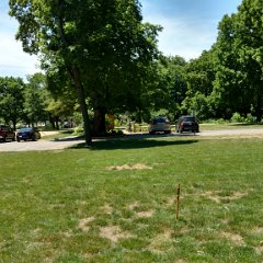 IMG_20170608_135230050_HDR