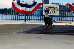 DSC_7127
