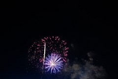 DSC_7344