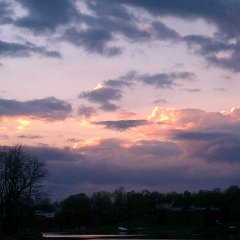 IMAG0622